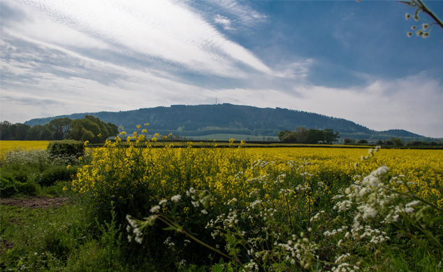 WordPress Website Development & Design John William Photography